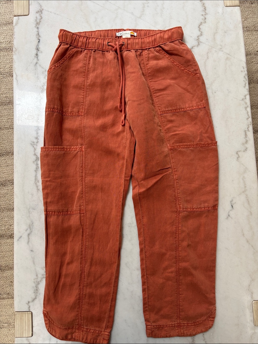 C&C California Cargo Pants in Rust